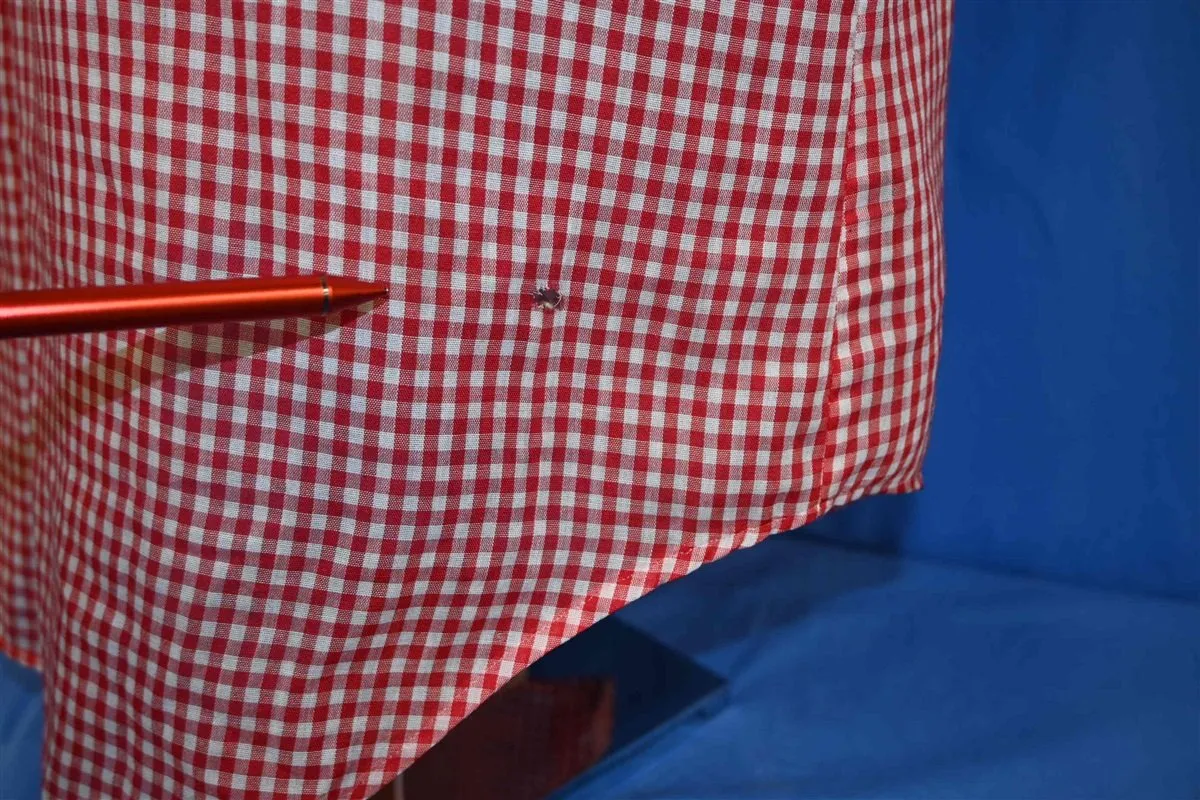 80s Montgomery Ward Red Gingham Western Shirt Medium