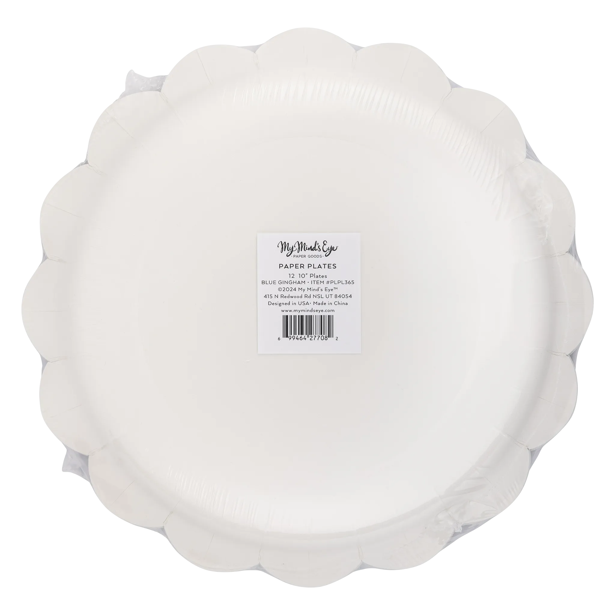 Blue Gingham Paper Plate