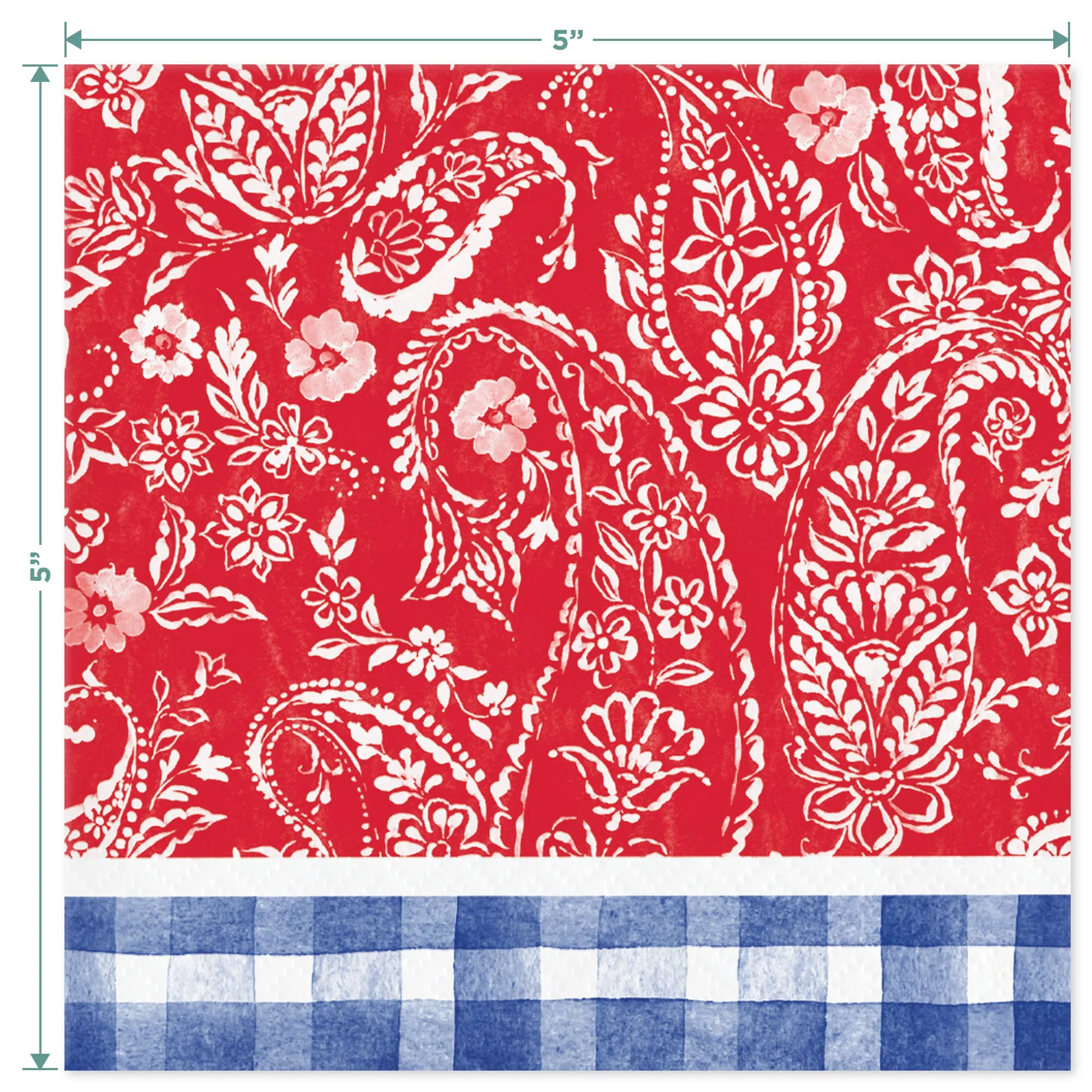 Paisley & Plaid Lemonade Picnic Blue Gingham Paper Plates, Napkins, & Forks (Serves 16)