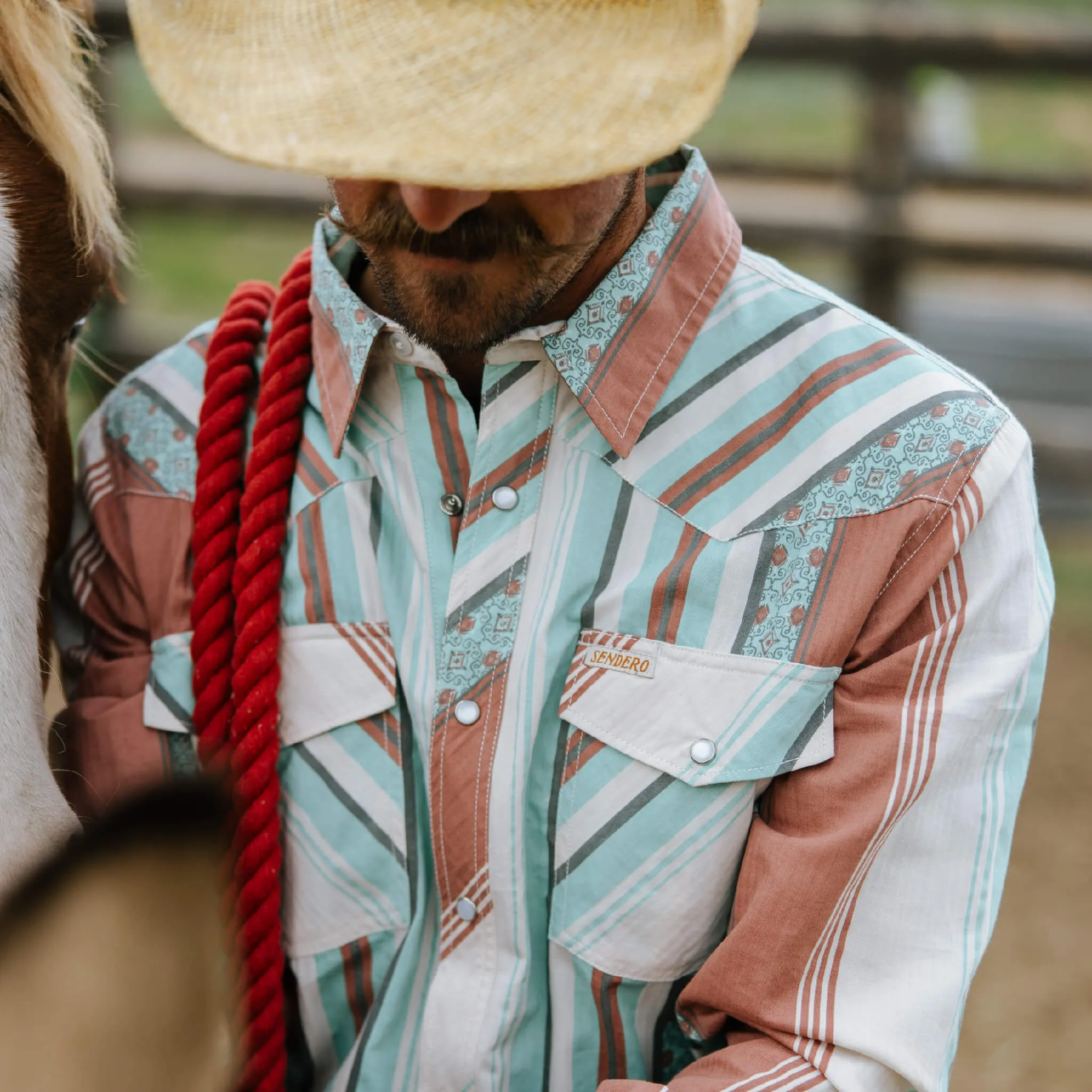 Serape Pearl Snap Shirt